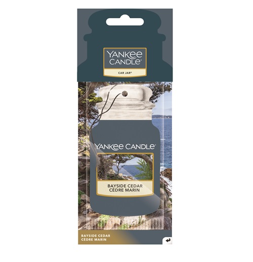 Car Jar Bayside Cedar ריח לרכב