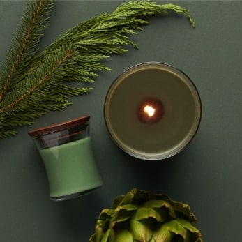 ריחות צמחי מרפא ותבלינים