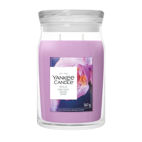 Wild Orchid נר ריחני גדול