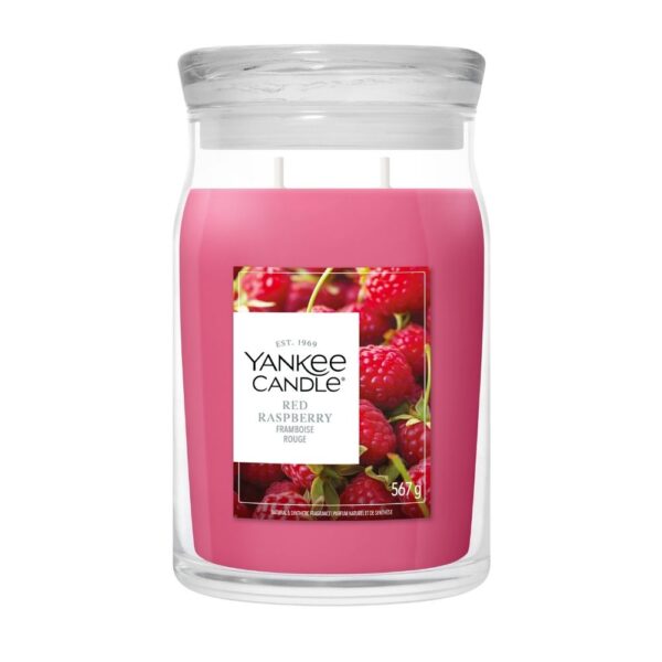 Red Raspberry נר ריחני גדול